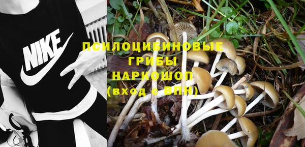 a pvp Шадринск