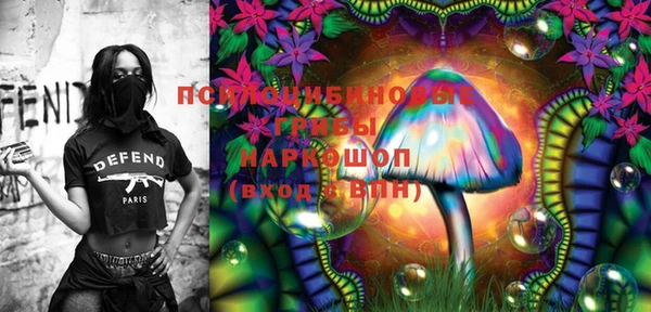 дурь Щучье
