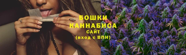дурь Щучье
